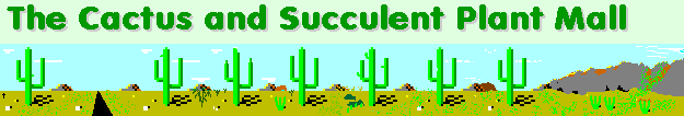 The Cactus and Succulent Plant Mall