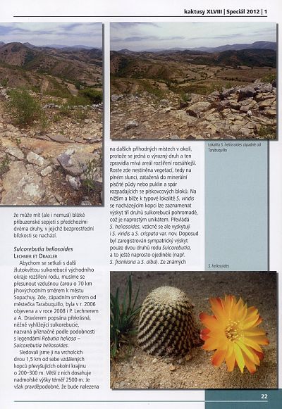 Kaktusy 2012 speciál 1 - ukázka strany 22 - Sulcorebutia heliosoides