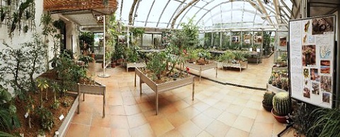 Výstava sukulentů ve sklenících Botanické zahrady Přírodovědecké fakulty Masarykovy univerzity v Brně